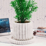 Radicaln Planters - Design B - 6"