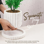 Radicaln Planters - Design B - 6"