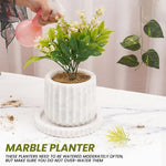 Radicaln Planters - Design B - 6"