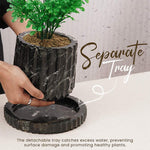 Radicaln Planters - Design B - 6"