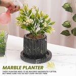 Radicaln Planters - Design B - 6"