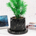 Radicaln Planters - Design B - 6"
