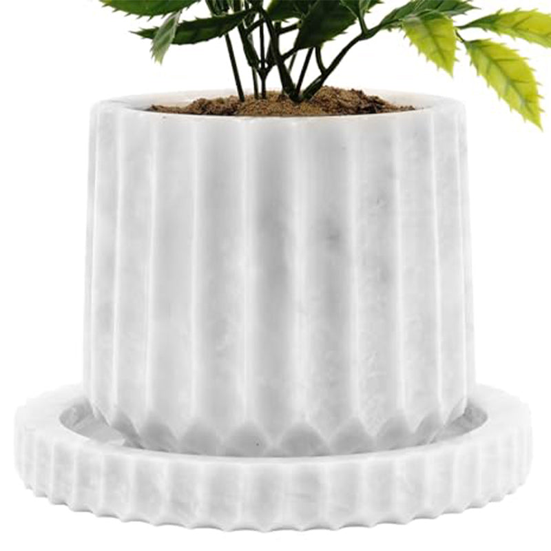 Radicaln Planters - Design B - 6"